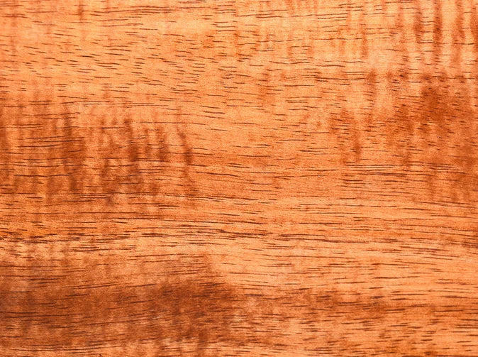 Koa Artwork 1